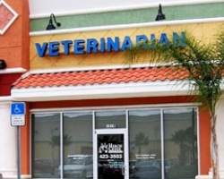 North Port Veterinary Clinic